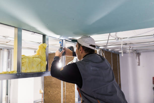 Best Insulation Air Sealing  in Hodgkins, IL