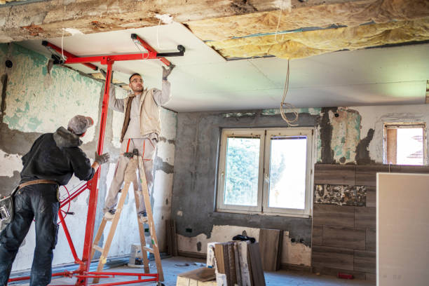 Best Insulation Removal  in Hodgkins, IL