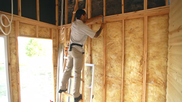 Best Blown-In Insulation  in Hodgkins, IL