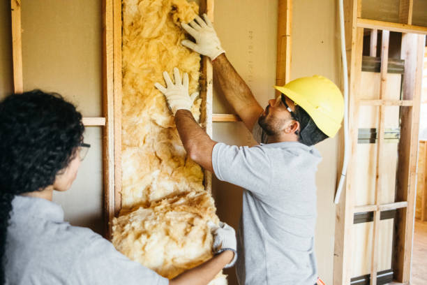 Types of Insulation We Offer in Hodgkins, IL