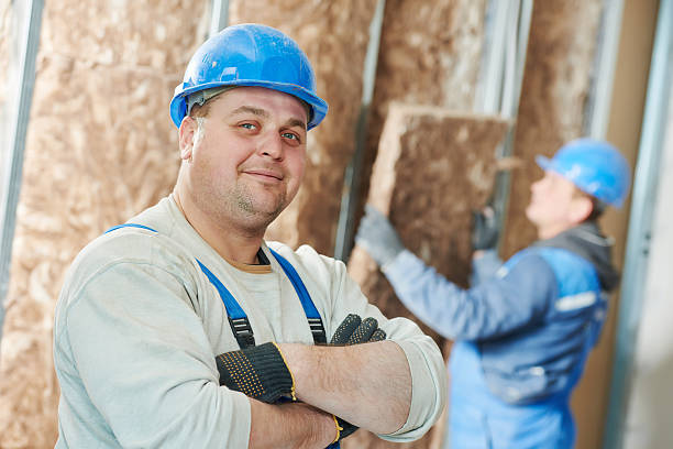 Best Spray Foam Insulation  in Hodgkins, IL